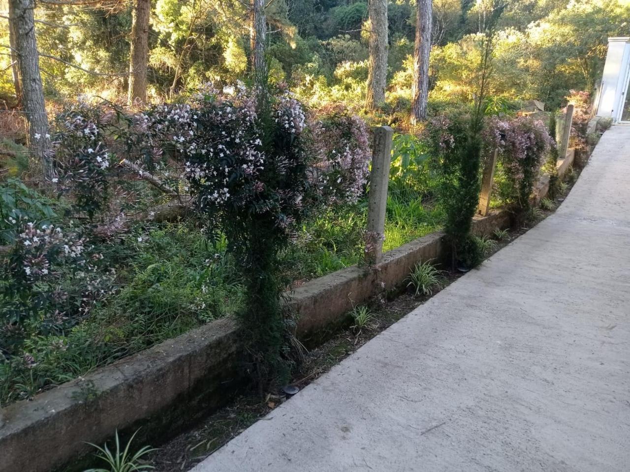 A Vida E Bella - Gramado Rs Lejlighed Eksteriør billede